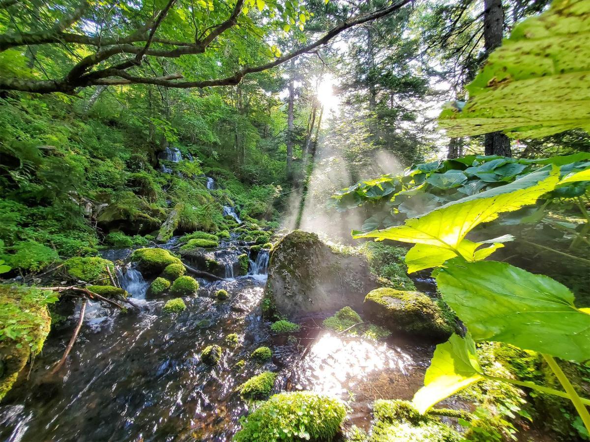 Pension Gooseberry NakaNakafurano Exteriér fotografie