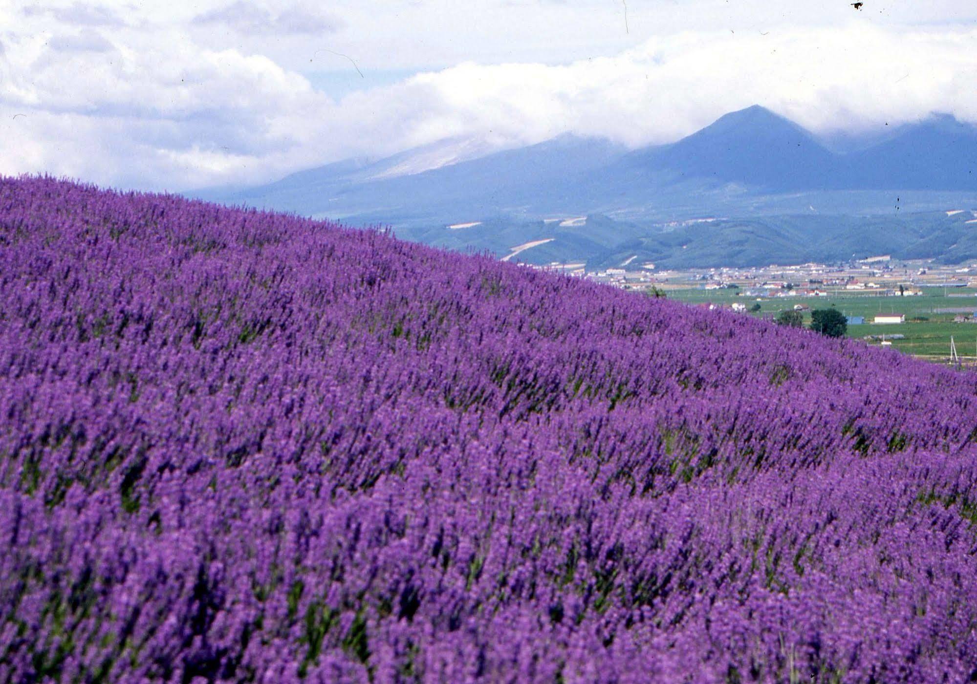 Pension Gooseberry NakaNakafurano Exteriér fotografie